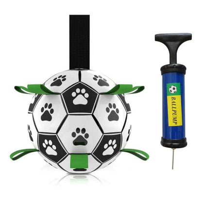 PawFun Interactive Soccer Toy