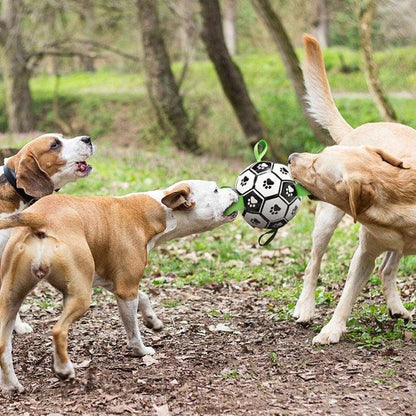 PawFun Interactive Soccer Toy