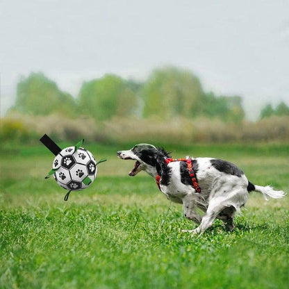 PawFun Interactive Soccer Toy