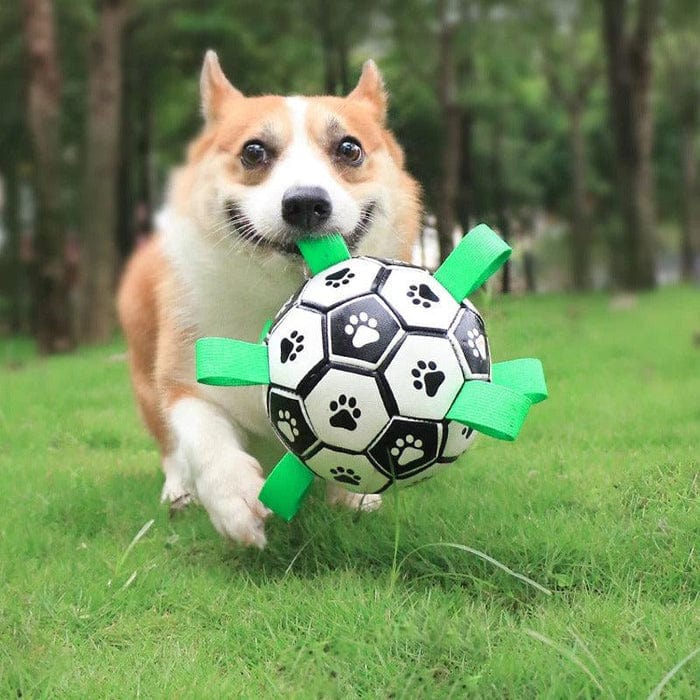 PawFun Interactive Soccer Toy