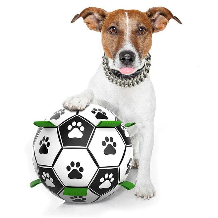 PawFun Interactive Soccer Toy